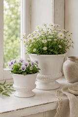 Two white planters with flowers on a wooden surface near a window. Hinton White Ceramic Planter