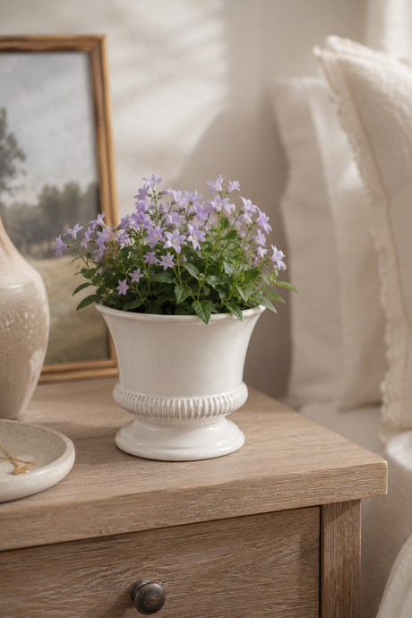 Hinton White Ceramic Planter