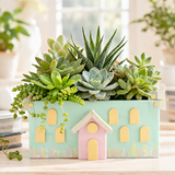 Four different house-shaped planters with various plants on a wooden surface.
