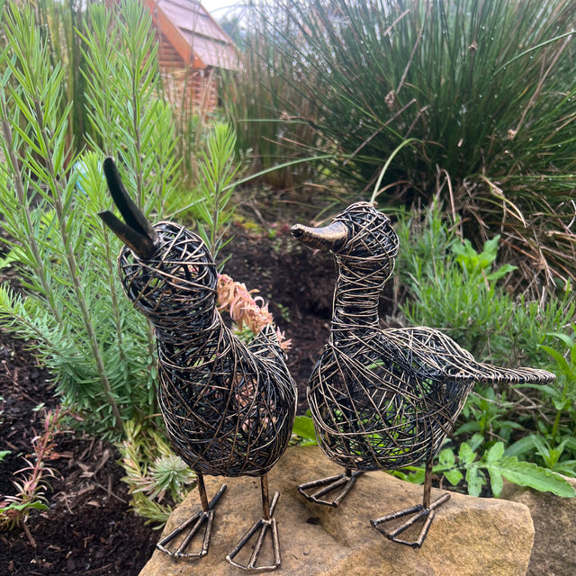 Decorative wire duck sculptures on a rock with greenery in the background