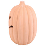 Terracotta Decorative pumpkin on a white background