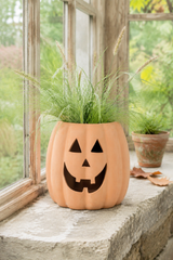 A carved pumpkin-shaped planter with a jack-o'-lantern face, filled with ornamental grass, sitting on a stone windowsill with a blurred outdoor garden background.