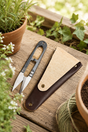 Scissors and leather sheath on a wooden surface with plants in the background
