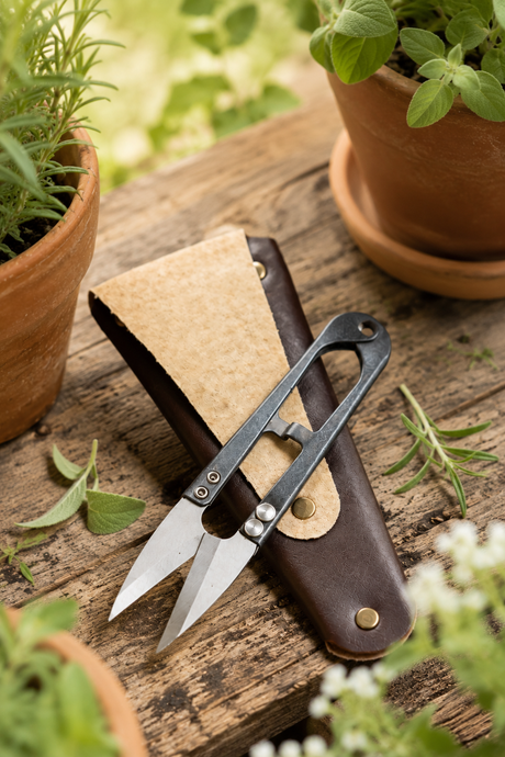 Shears in a leather sheath on a wooden surface with potted plants.