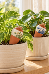 Leafy blue and green patterns, speckled cream bands and warm terracotta give these Lison watering spikes a place among your favourite houseplants.