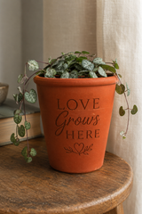 An orange terracotta planter pot with the words 'LOVE Grows HERE' printed on the front, filled with a trailing green plant and resting on a wooden stool in front of a neutral curtain background.