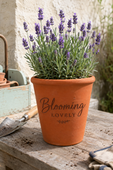 A terracotta planter pot with the words 'Blooming LOVELY' printed on the front, filled with blooming lavender plants, set on a rustic wooden table with gardening tools in the background.