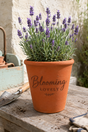 A terracotta planter pot with the words 'Blooming LOVELY' printed on the front, filled with blooming lavender plants, set on a rustic wooden table with gardening tools in the background.
