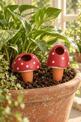 Set of two terracotta plant watering spikes with red mushroom caps, white spots and cream detailing. Includes one rounded and one taller mushroom design, each with an open filling hole and a tapered stem. 