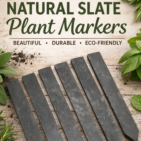 Set of six natural slate plant markers on a wooden surface with plants around.