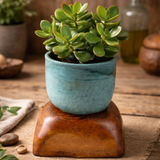 Small potted plant on a wooden stand with a rustic background