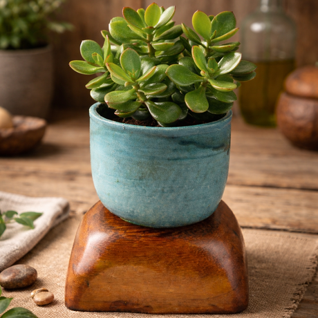 Small potted plant on a wooden stand with a rustic background