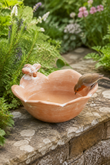 A terracotta clay bird bath shaped like a flower, set on a stone wall in a garden with a small robin perched on the rim drinking water.