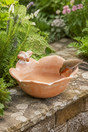 A terracotta clay bird bath shaped like a flower, set on a stone wall in a garden with a small robin perched on the rim drinking water.
