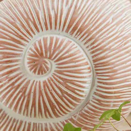 Close-up of a Terracotta ammonite fossil plant pot with green leaves in the background