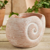 Decorative shell-shaped pot on a wooden surface with plants in the background