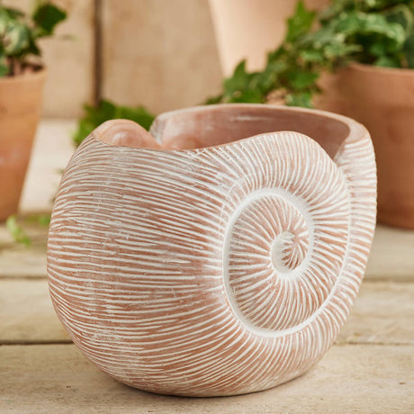 Decorative shell-shaped pot on a wooden surface with plants in the background