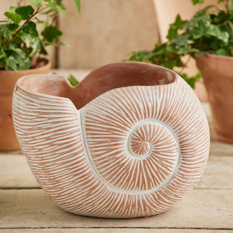 Decorative shell-shaped pot on a wooden surface with plants in the background