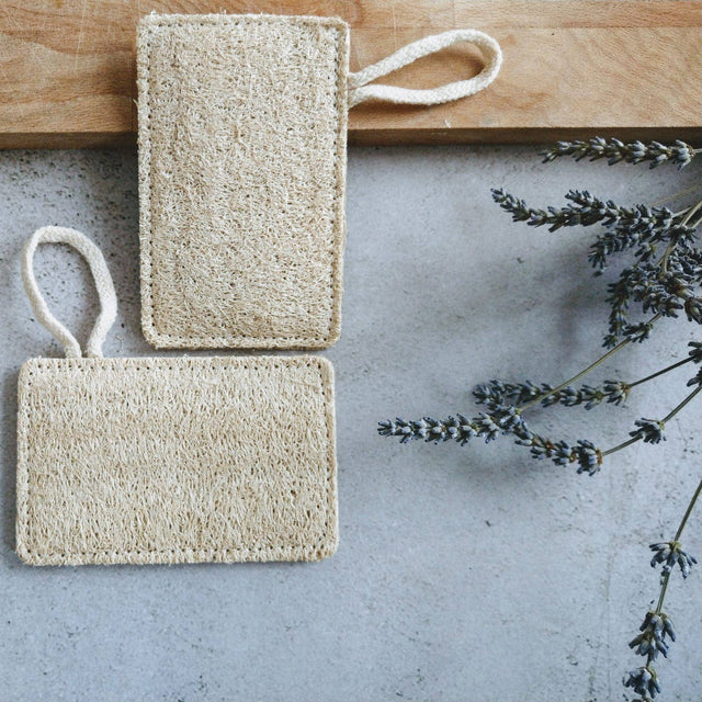 Two natural sponges with handles on a concrete surface with a wooden board and plant in the background.