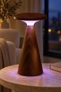 Rechargeable LED table lamp in walnut wood and frosted acrylic. Features touch controls, adjustable brightness, warm white light, seven rotating RGB colours and a fixed-colour setting. Measures approximately 12 × 12 × 21cm and weighs 449g