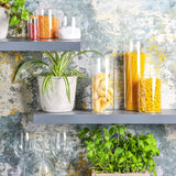 Shelves with pasta, glasses, and plants against a textured wall.