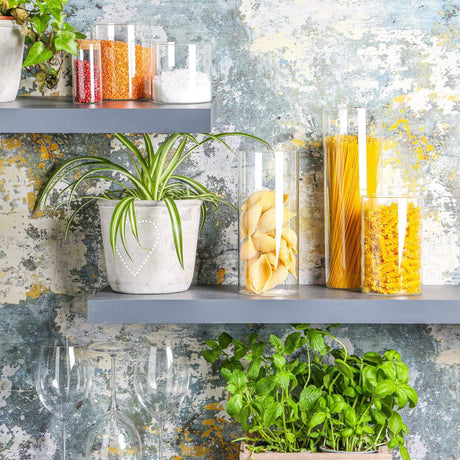 Shelves with pasta, glasses, and plants against a textured wall.