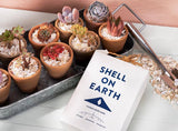 Small potted plants on a tray with a 'Shell on Earth' on a wooden surface.