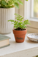 Personalised Mini Terracotta Plant Pot 5cm