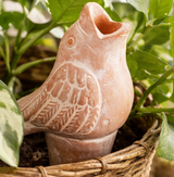 terracotta bird shaped watering spike