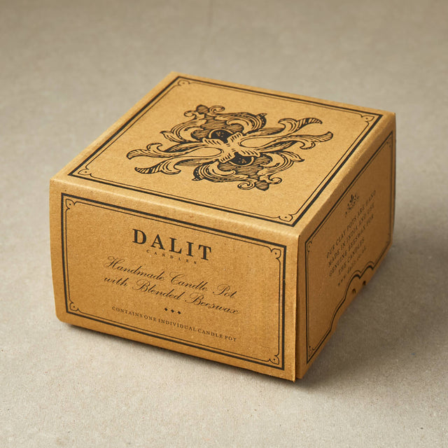 Coconut 3 Wick Terracotta Candle | Alok Handmade Candle