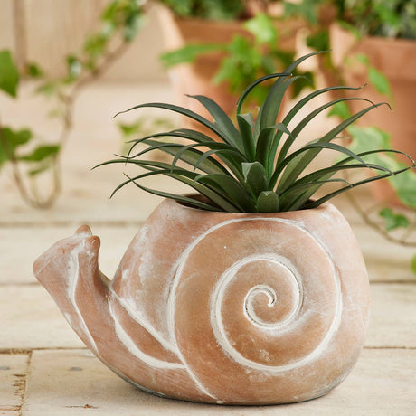Snail-shaped terracotta planter with a plant on a wooden surface