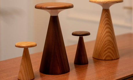 Walnut LED Table Lamp – Mini Rechargeable RGB Bedside Lamp (Sylva)