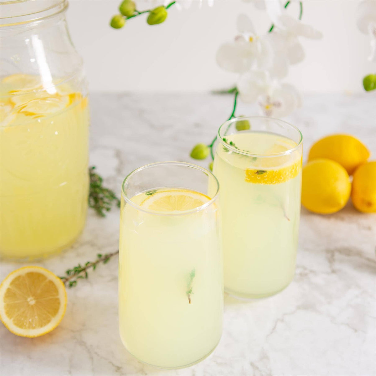 Nord Highball Glass – 480ml