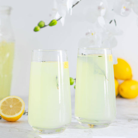 Nord Highball Glass – 480ml