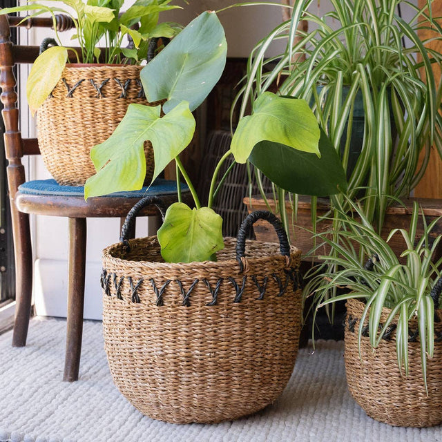 Haora Seagrass Storage Baskets with Tapered Base – Set of 3