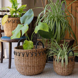 Haora Seagrass Storage Baskets with Tapered Base – Set of 3