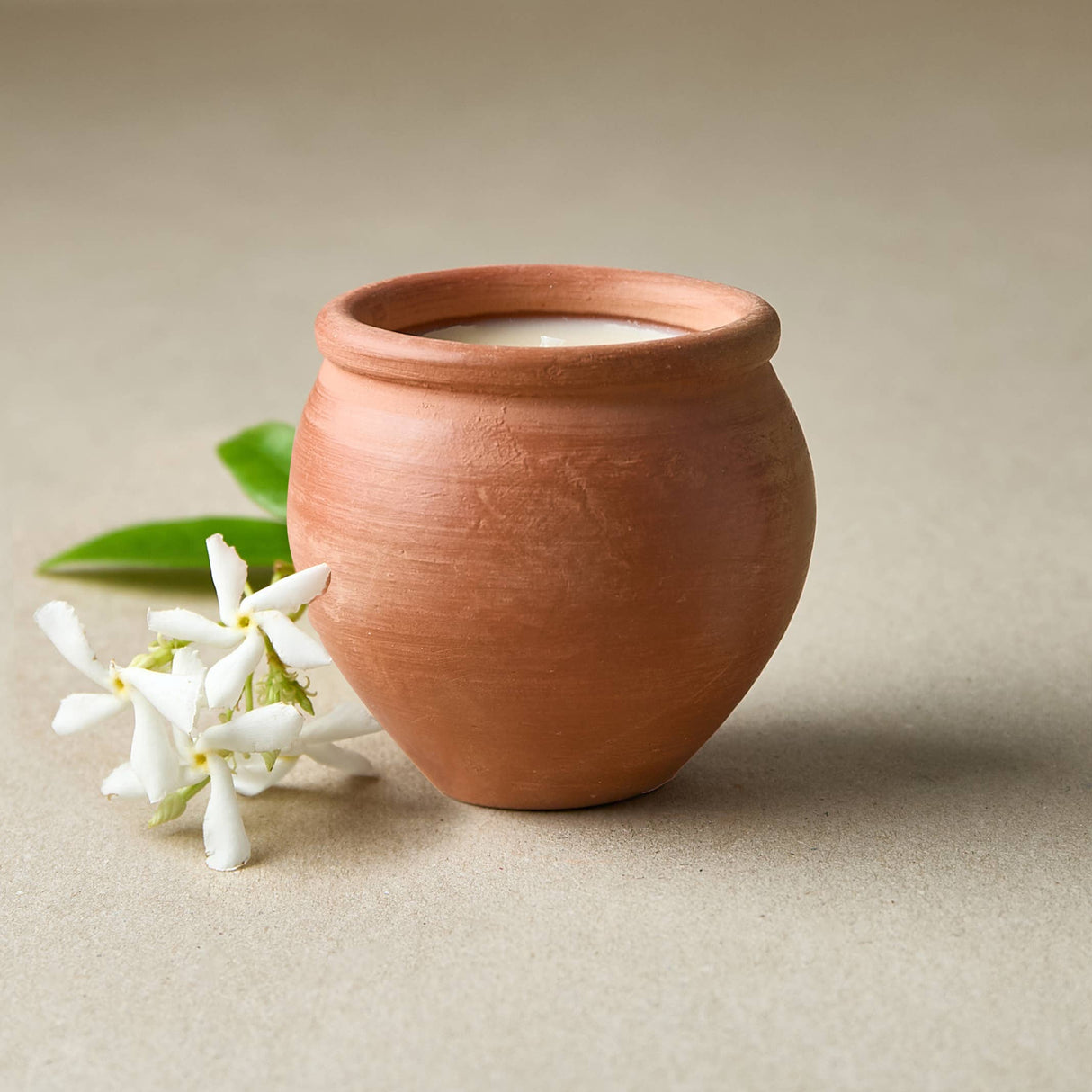 Terracotta pot with white flowers on a beige background