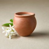 Terracotta pot with white flowers on a beige background