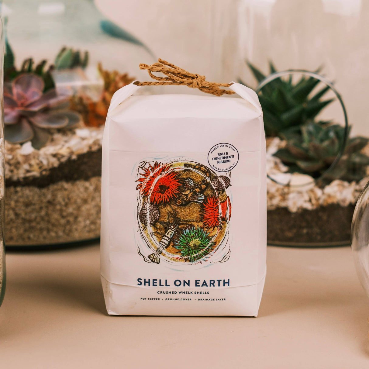 Crushed Whelk Shells – Rockpool Limited Edition Decorative Shell Bag