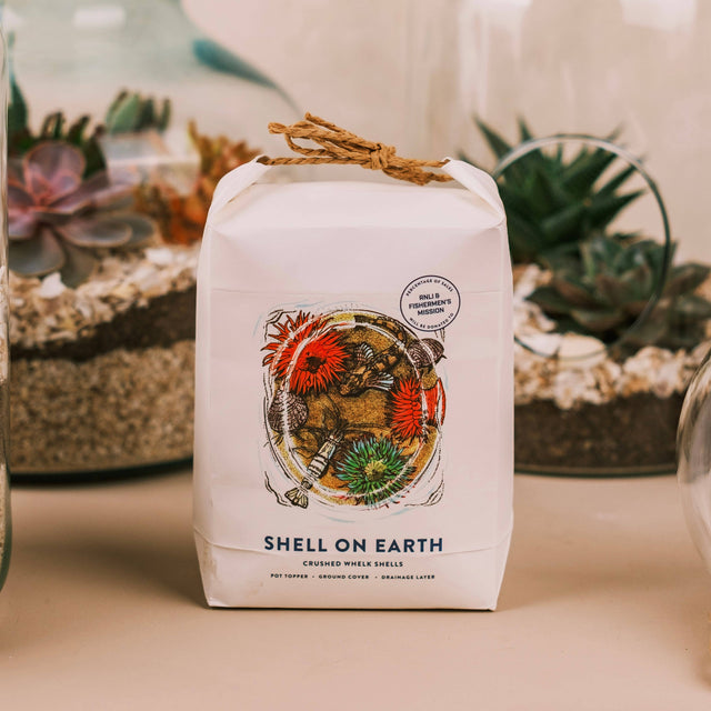 Crushed Whelk Shells – Rockpool Limited Edition Decorative Shell Bag