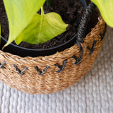 Haora Seagrass Storage Baskets with Tapered Base – Set of 3