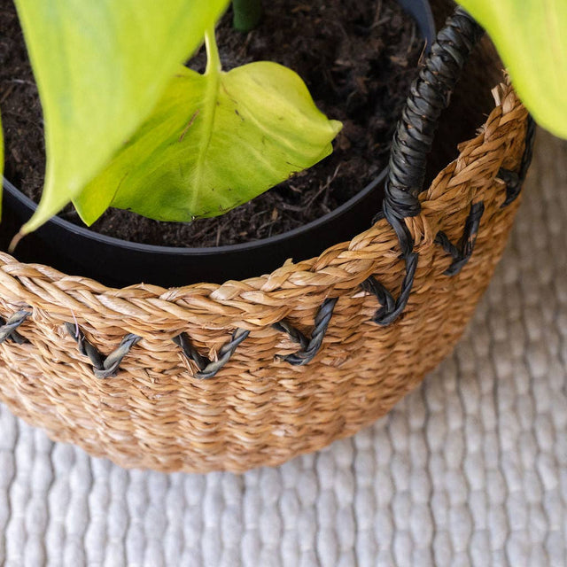Haora Seagrass Storage Baskets with Tapered Base – Set of 3