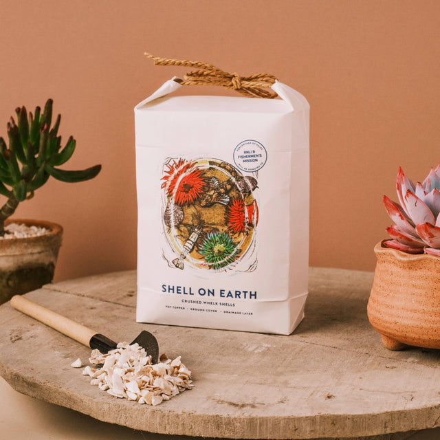 Crushed Whelk Shells – Rockpool Limited Edition Decorative Shell Bag