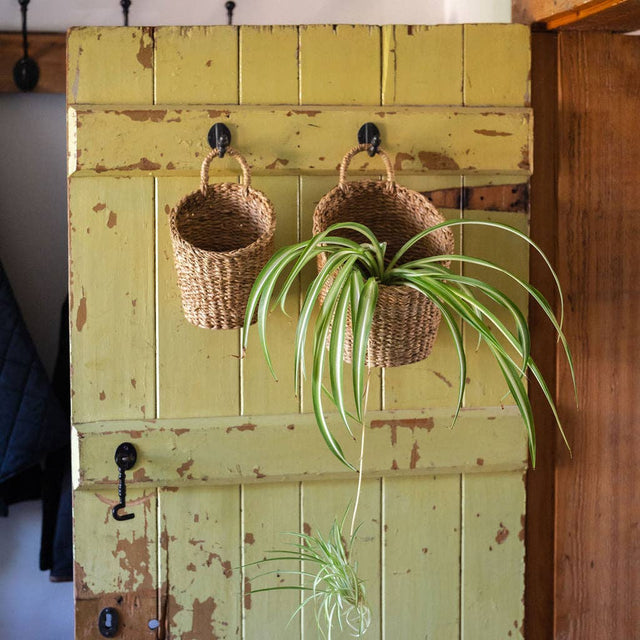 Kompo Seagrass Hanging Storage Baskets – Set of 2