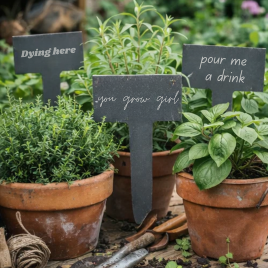 Three potted plants with humorous sign text in a garden setting