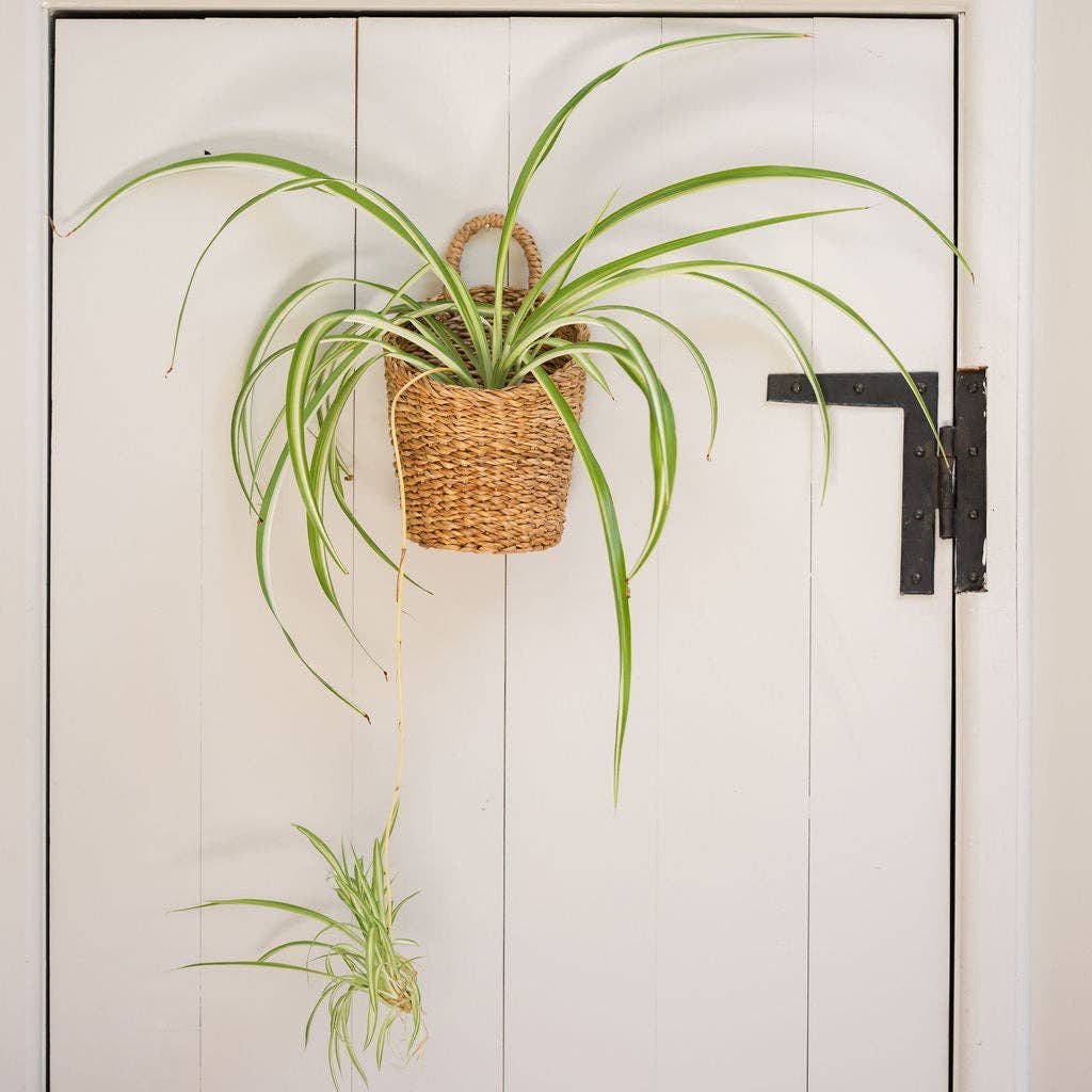 Slim Seagrass Hanging Storage Basket