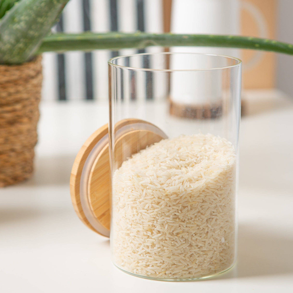 Clear glass container filled with rice on a light surface with a plant in the background