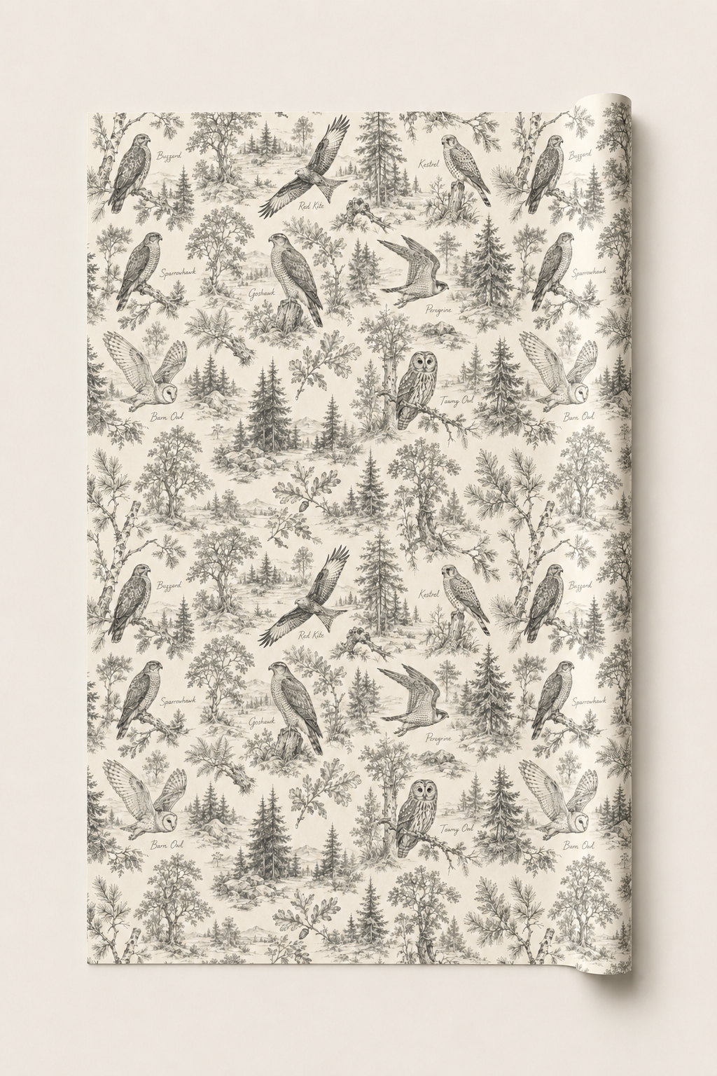 British Birds of Prey Wrapping Paper – Vintage Wildlife Gift Wrap