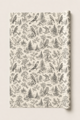 British Birds of Prey Wrapping Paper – Vintage Wildlife Gift Wrap