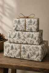British Birds of Prey Wrapping Paper – Vintage Wildlife Gift Wrap